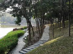 -深圳国际园林花卉博览园