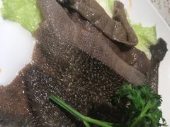 -二荆条·蜀鲜汇城市森林火锅