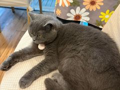 -春笙食堂.丼饭拉面寿司(GOGO新天地店)