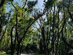 -东湖落雁景区