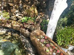 -炊烟餐厅