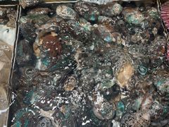 -九龙餐厅(大沽路店)