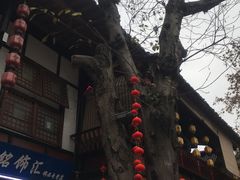 -文庙广场小吃一条街