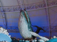 -烟台海昌鲸鲨海洋公园