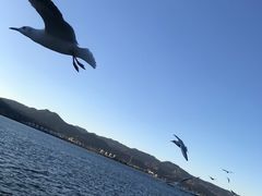 -滇池海埂公园