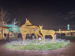 -天王寺公园