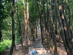 -火炉山森林公园