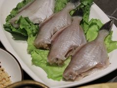 泰国冰鲜耗儿鱼-长嘉·河图火锅(长嘉汇江景旗舰店)