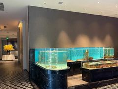 -许家菜.艺创菜(仁和新城店)