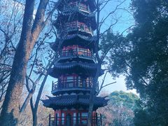 -上海佘山国家森林公园西佘山园