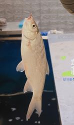 -巡鱼道·室内垂钓·渔具店