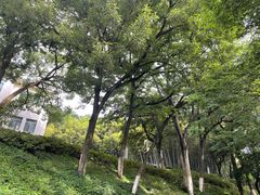 -上海市保健医疗中心