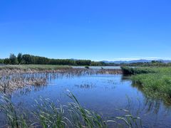 -野鸭湖国家湿地公园