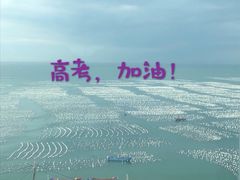 -枸杞岛