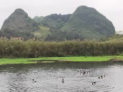 -靖西鹅泉风景区