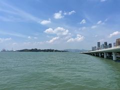 -演武大桥观景平台