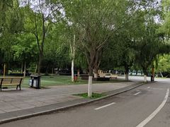 -长白岛森林公园