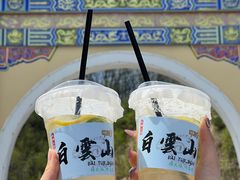 -洛阳白云山景区