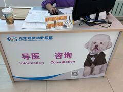 -北京观赏动物医院·24小时大型综合·猫专科·异宠专科