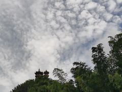 -蜀南竹海景区