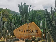 -深圳仙湖植物园