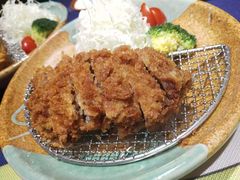 喜豚招牌猪排-KITON喜豚(清晖园店)
