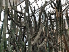 -南通洲际绿博园