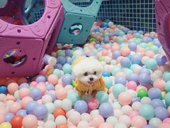 -太阳岛度假酒店