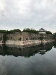 -德哥灰指甲脚气甲沟炎跖疣护理