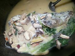 -咕嘟草帽鱼·牛奶一样的鲜鱼汤(包河万达广场创始店)