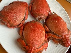 -视界美食自助餐厅·石家庄希尔顿酒店