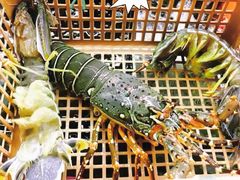 胳膊粗皮皮虾-班赞海鲜市场