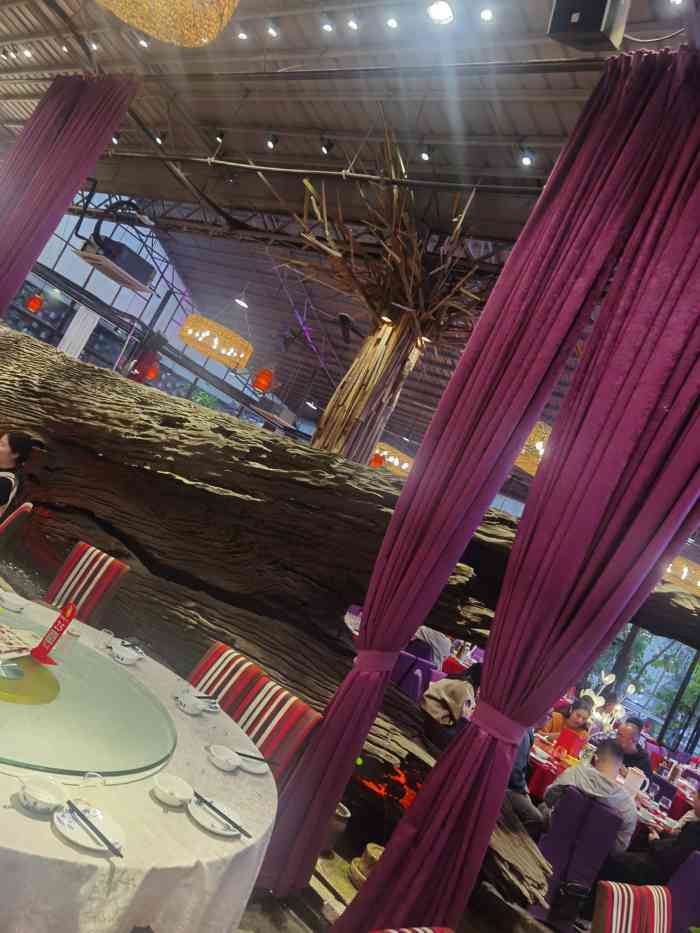 大树头森林餐厅番禺广场店