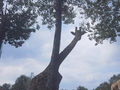 -大连森林动物园