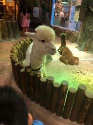 -宝燕乐园(闵行旗舰店)