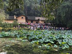 -韶山毛泽东同志故居