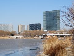 -大兴滨河森林公园