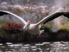 -Sony Store索尼(广州正佳店)