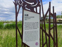 -黑龙江扎龙生态旅游区