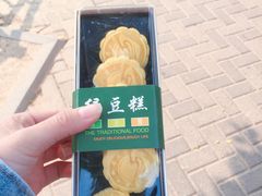 -上海海洋大学(临港校区)