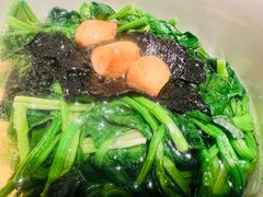 -桂满陇·海市蜃楼·黑金(国金店)