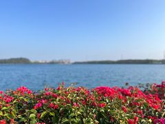 -露天矿生态公园