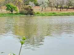 -海珠湖公园