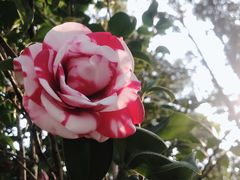 -华南国家植物园-售票处