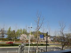 -宝荣鱼馆·临湖之宴(千岛湖店)