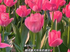 -无锡梅园公园