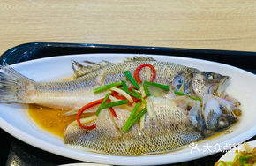 Scallion Oil River Perch