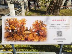-北京石刻艺术博物馆(五塔寺)