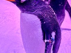 -常州淹城野生动物世界