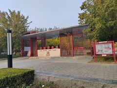 -大望京公园
